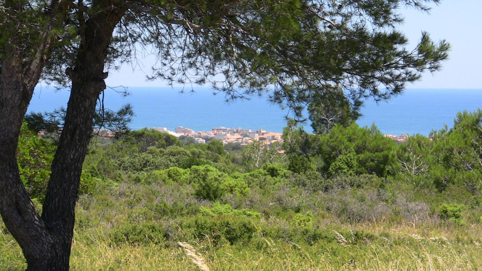 Résidence Les Jardins de la Clape Narbonne-Plage Extérieur photo
